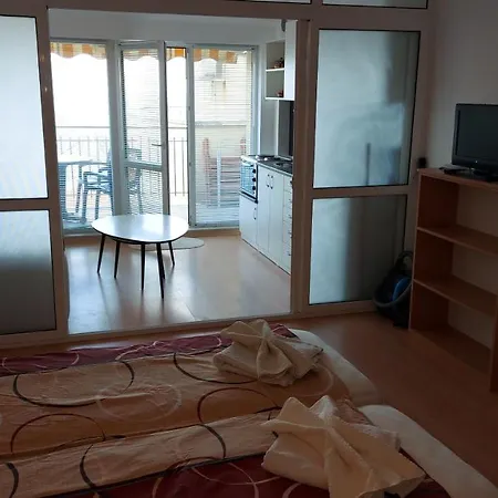 Sunny House Apartment